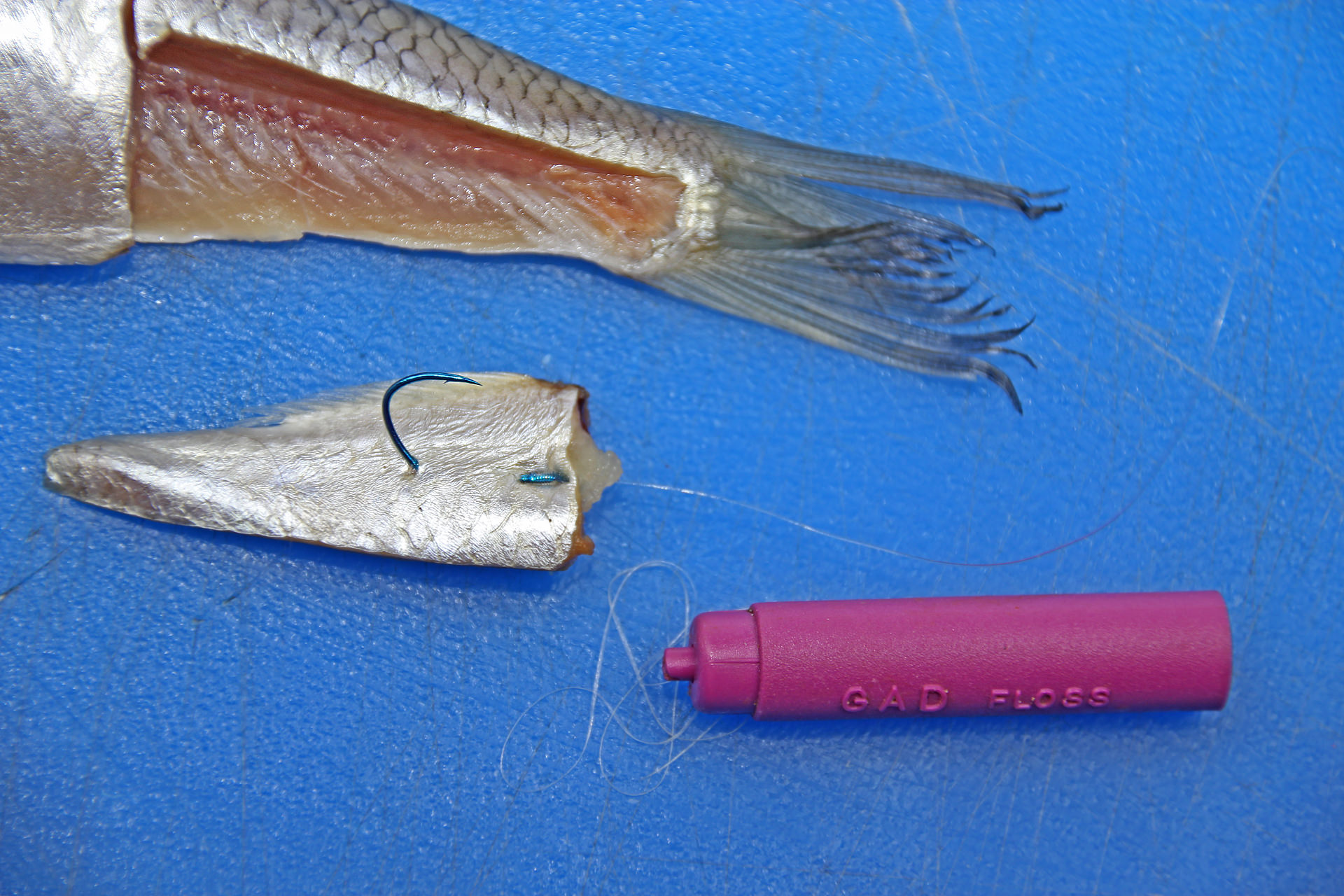 fischfetzen anködern mit bait-elastic