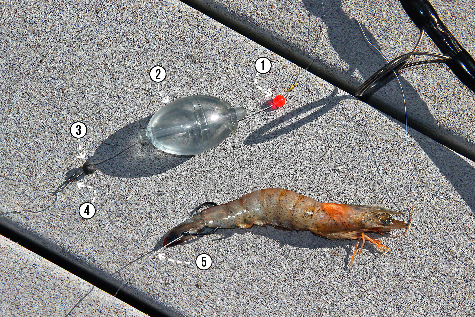 Shrimp anködern an Wasserkugelmontage