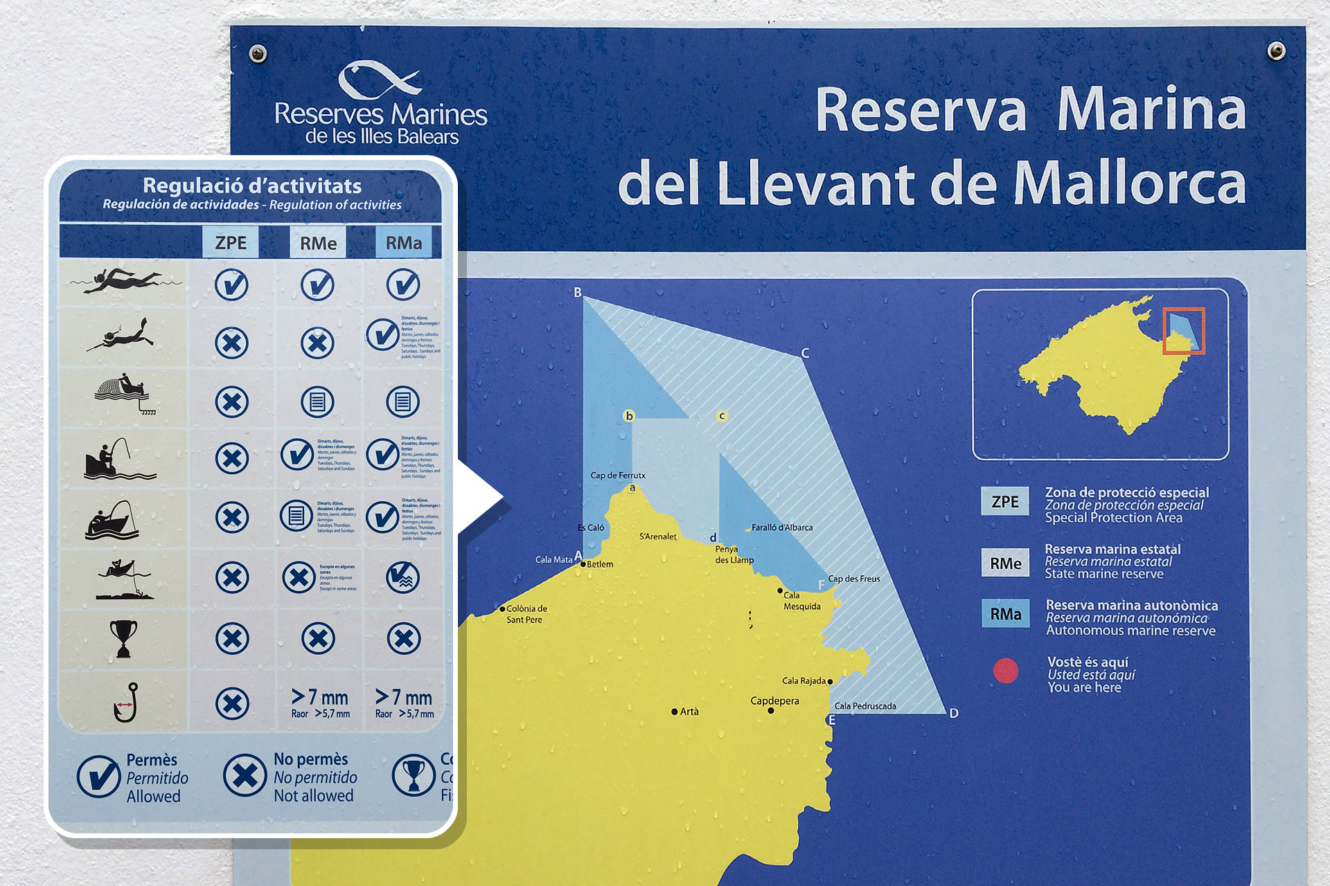 marine schutzzonen auf mallorca