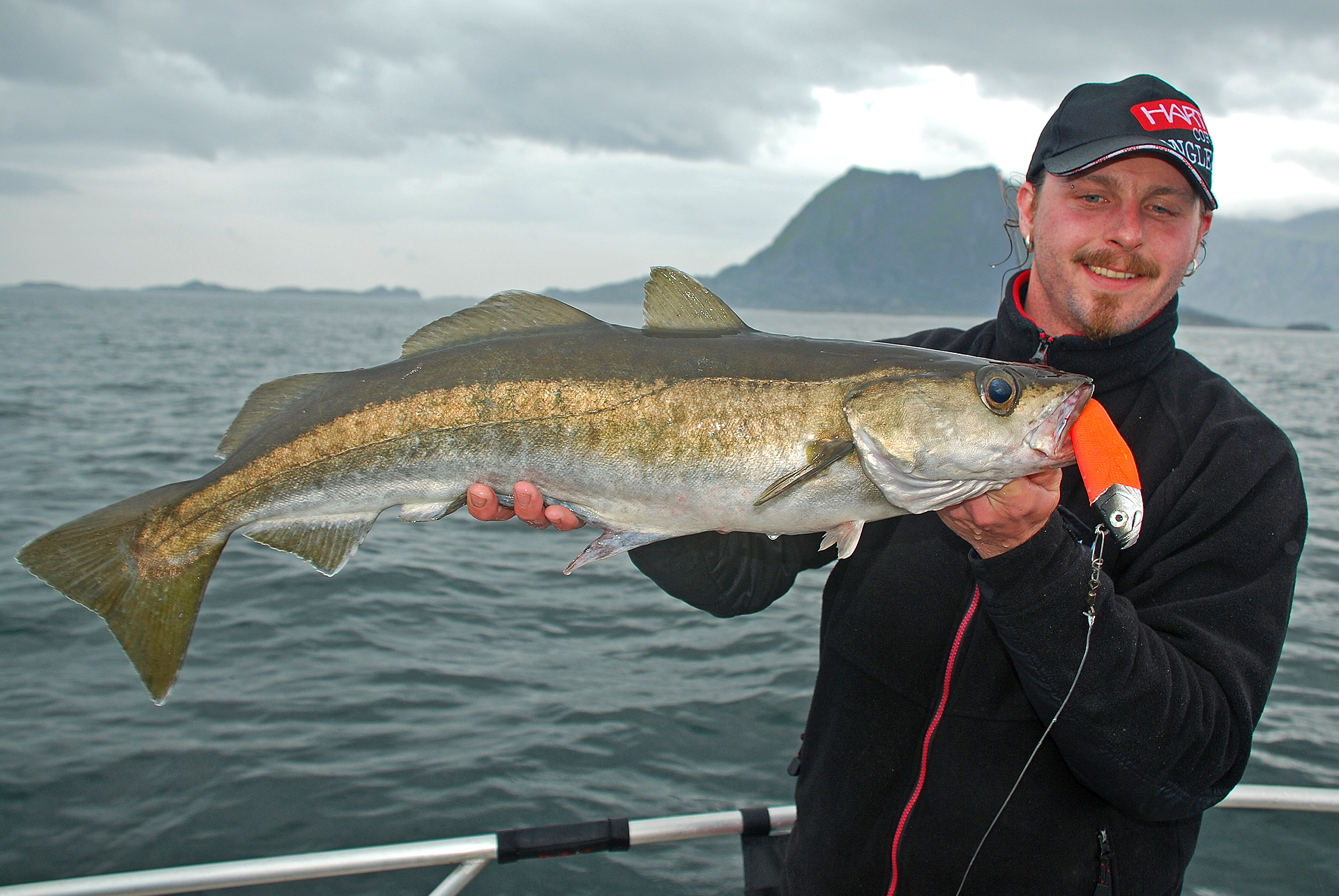 Fische Norwegen