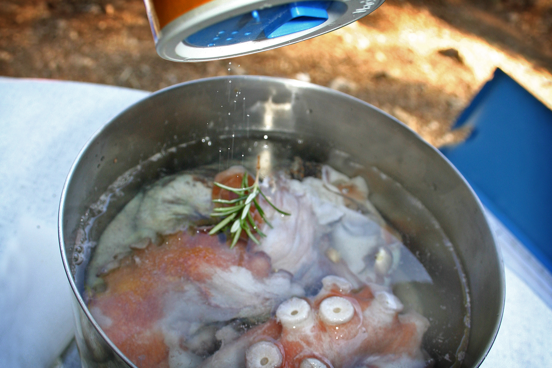 Kraken, Pulpo, Oktopus kochen