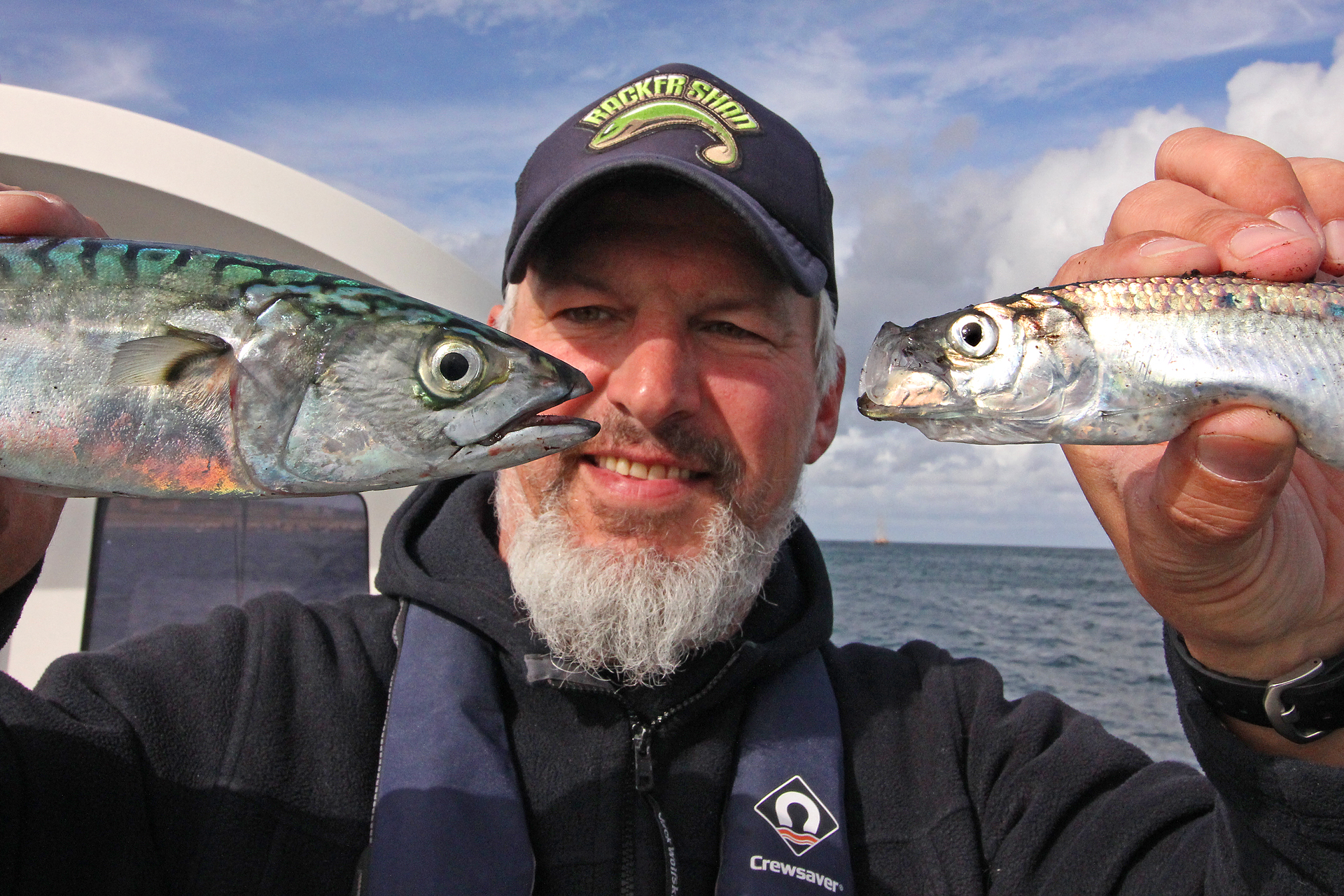Heringe und Makrelen angeln im Øresund