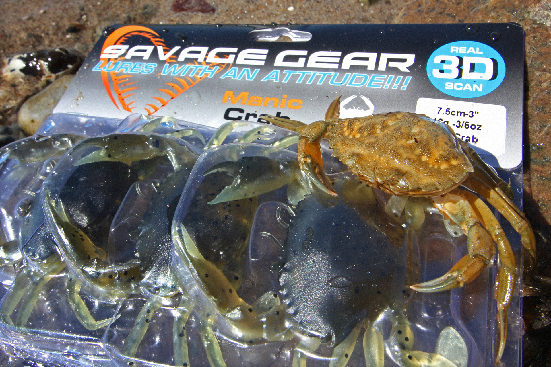 Savage Gear 3D Manic Crab als Dorschköder
