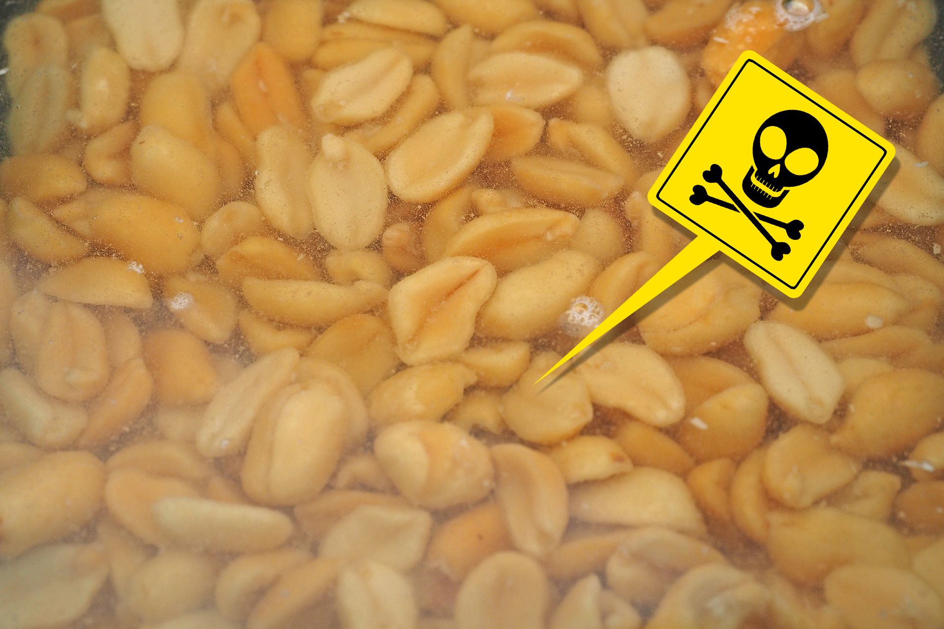 Erdnüsse können Gifte enthalten, die den Karpfen schaden