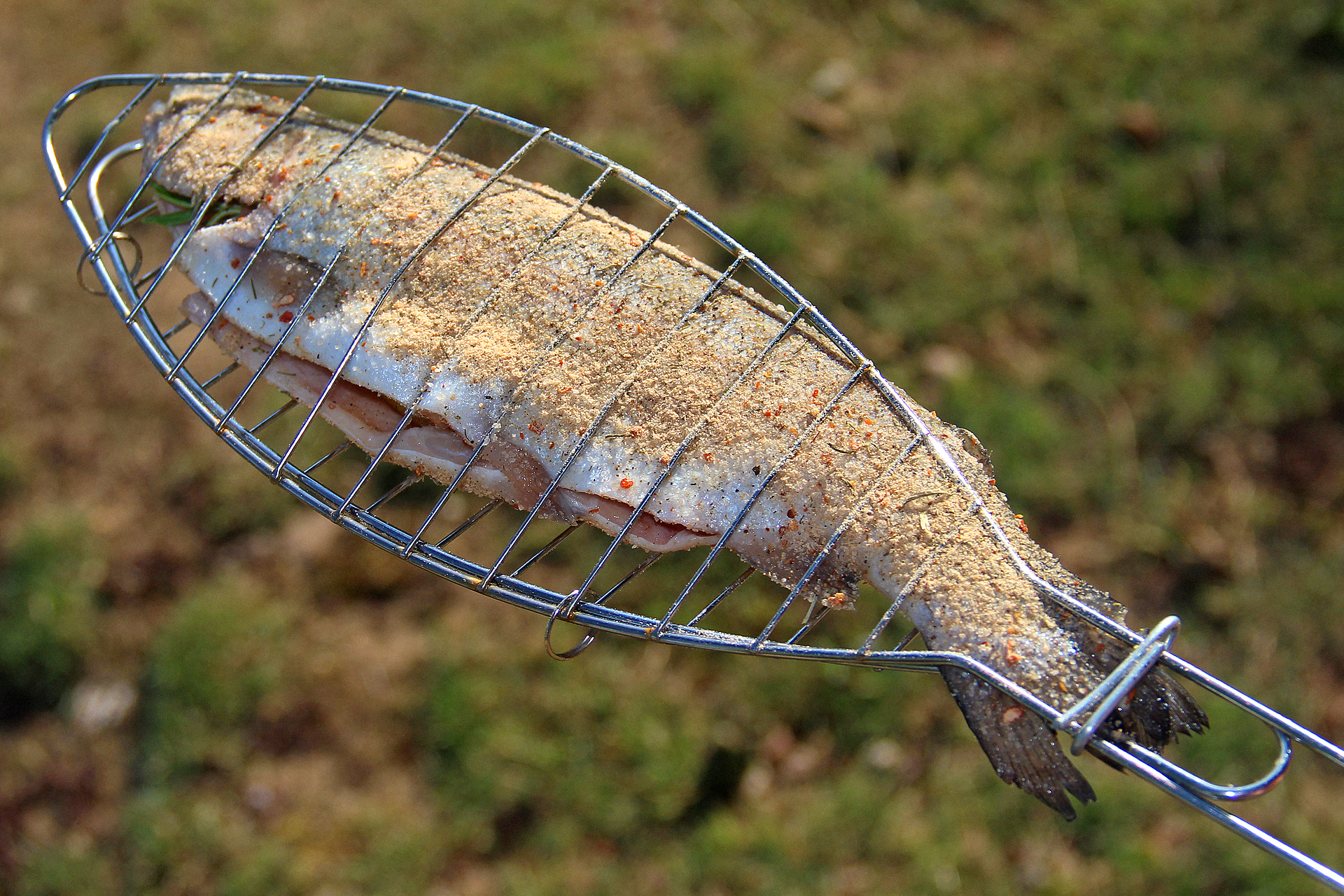 Fisch grillen mit einem Fischhalter
