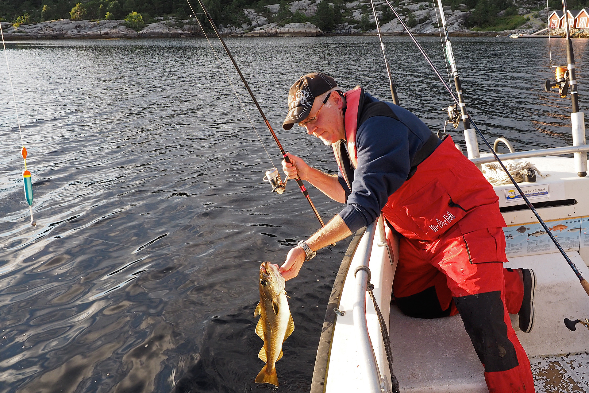 Posenfischen auf Pollack in Norwegen