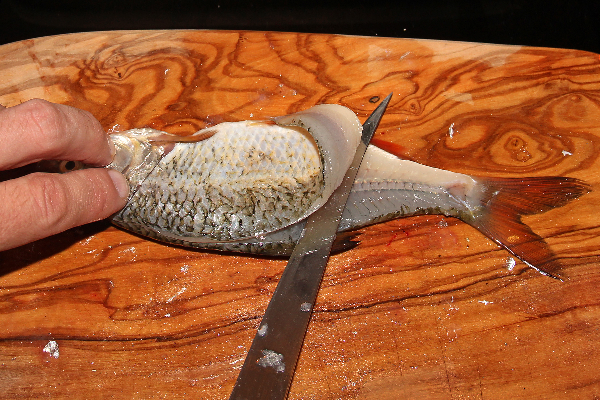Frikadellen aus Weißfischen selber machen