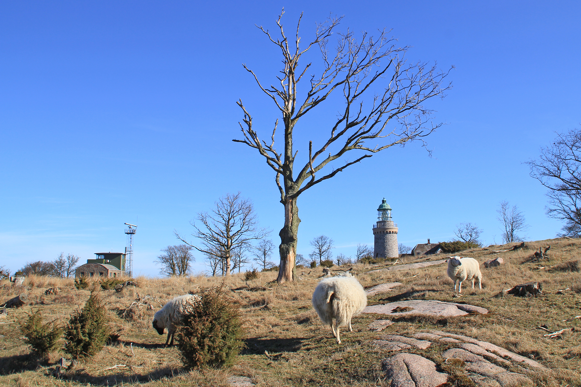 Landschaft Hammeren auf Bornholm