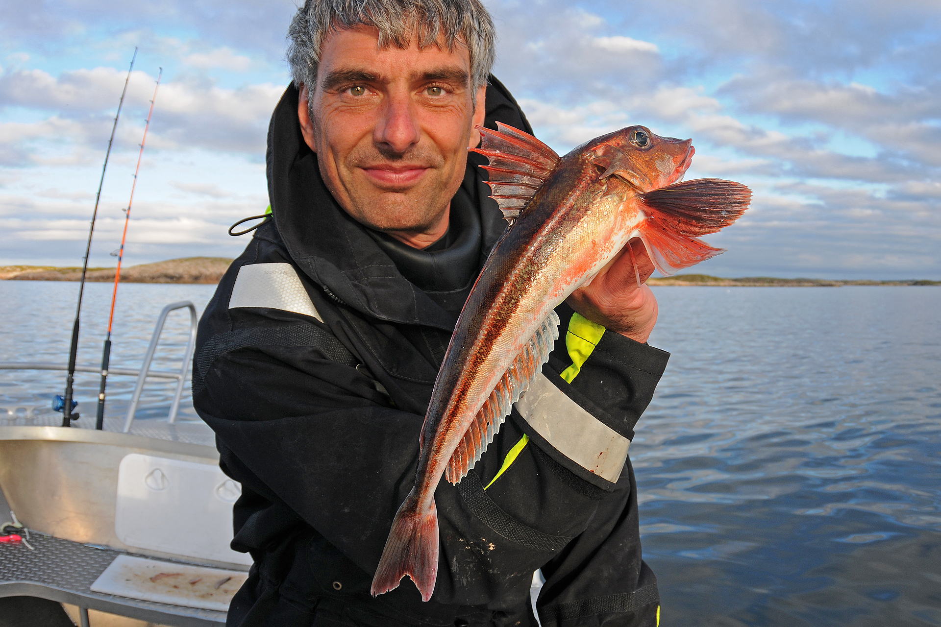Knurrhahn angeln in Norwegen