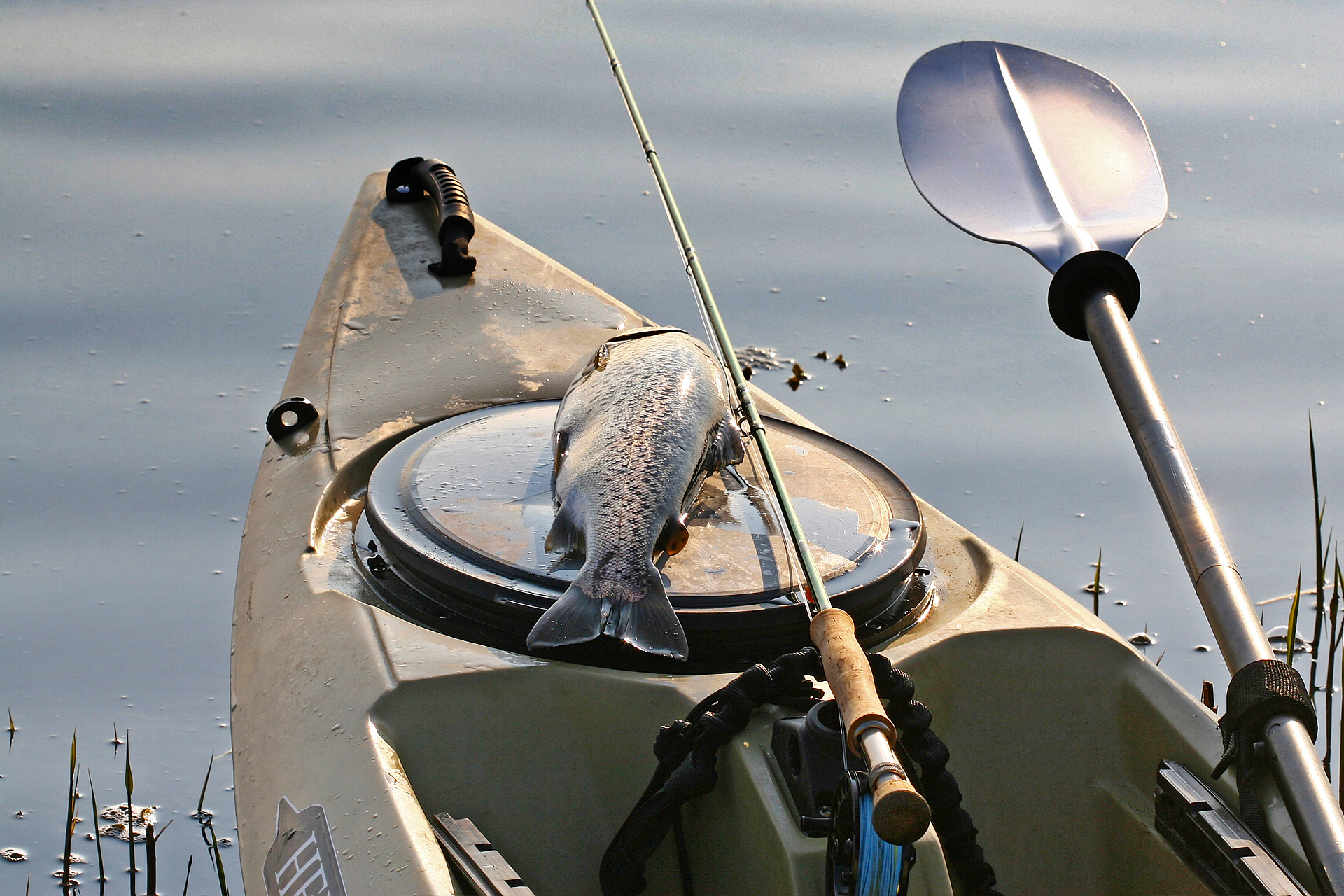 Kajak angeln auf Meerforelle
