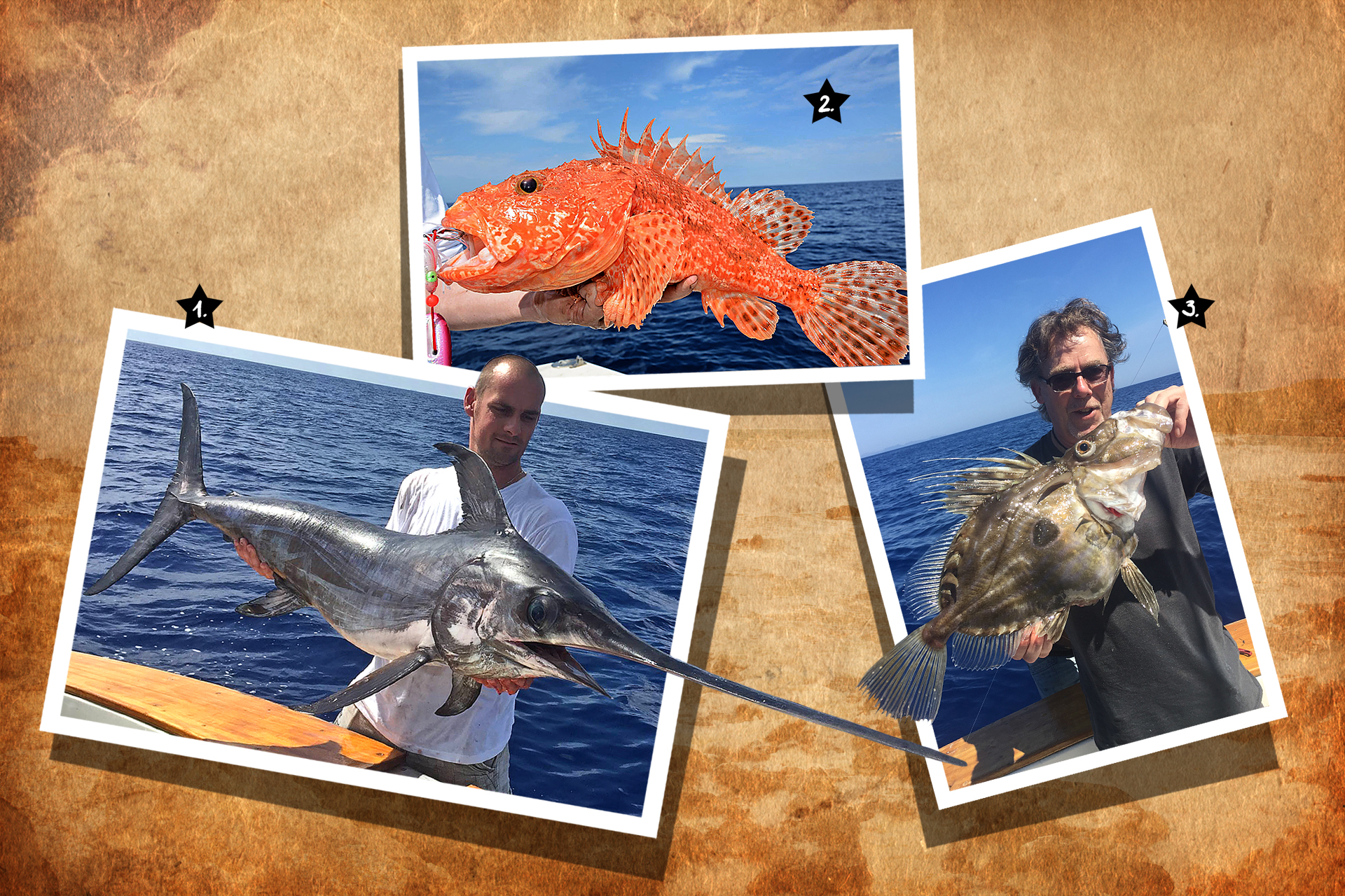 Drachenkopf, Schwertfisch und Heringskönig angeln im Mittelmeer vor Ibiza und Mallorca