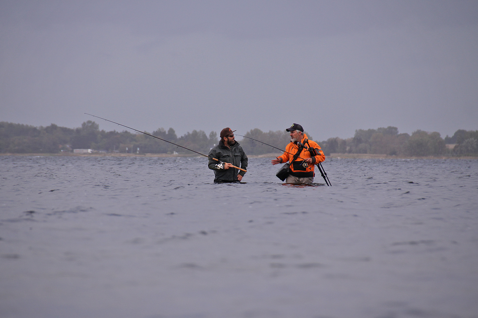 Hornhecht angeln am Isefjord