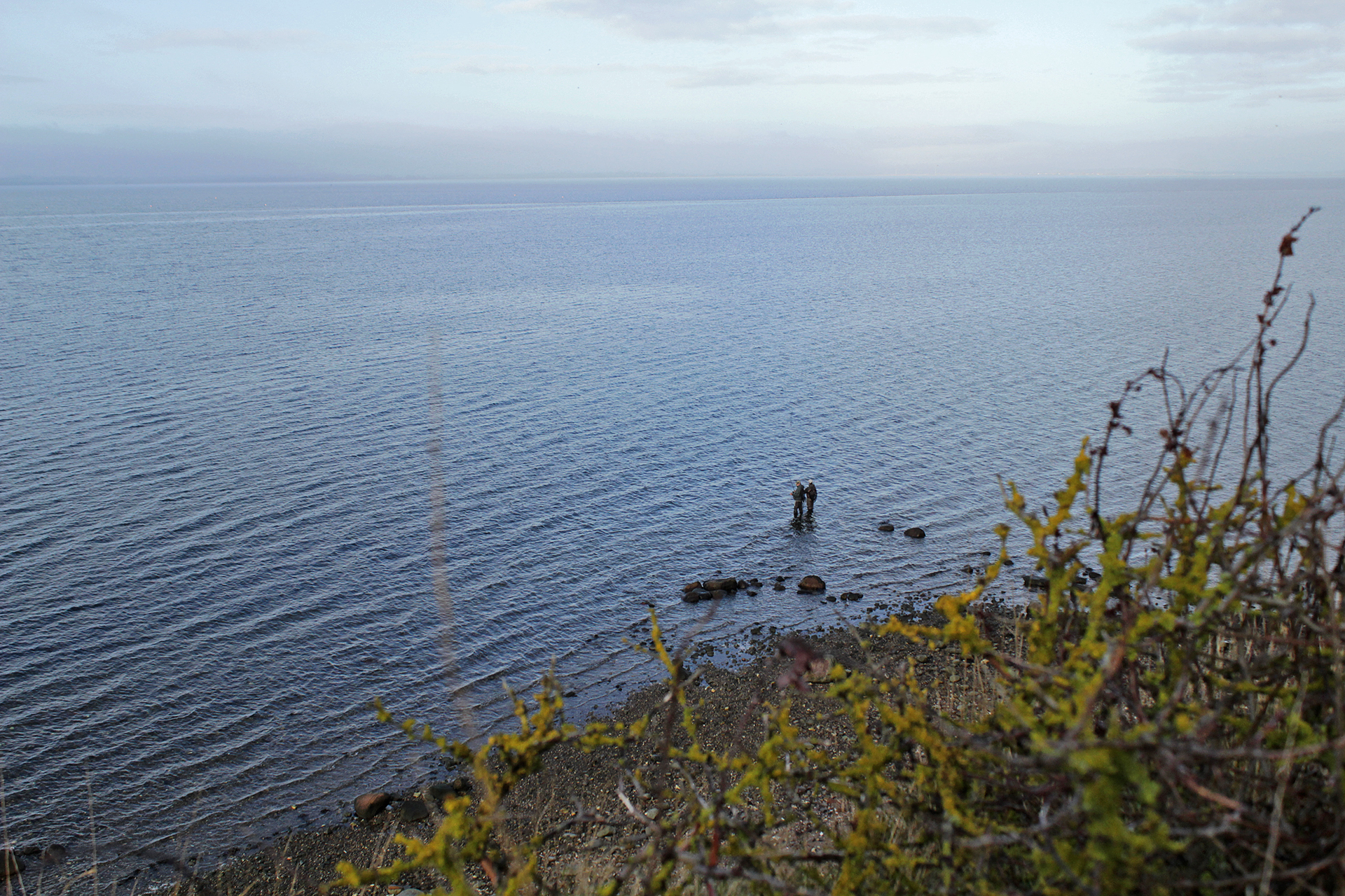 Meerforellenangeln am Limfjord bei Knudshoved