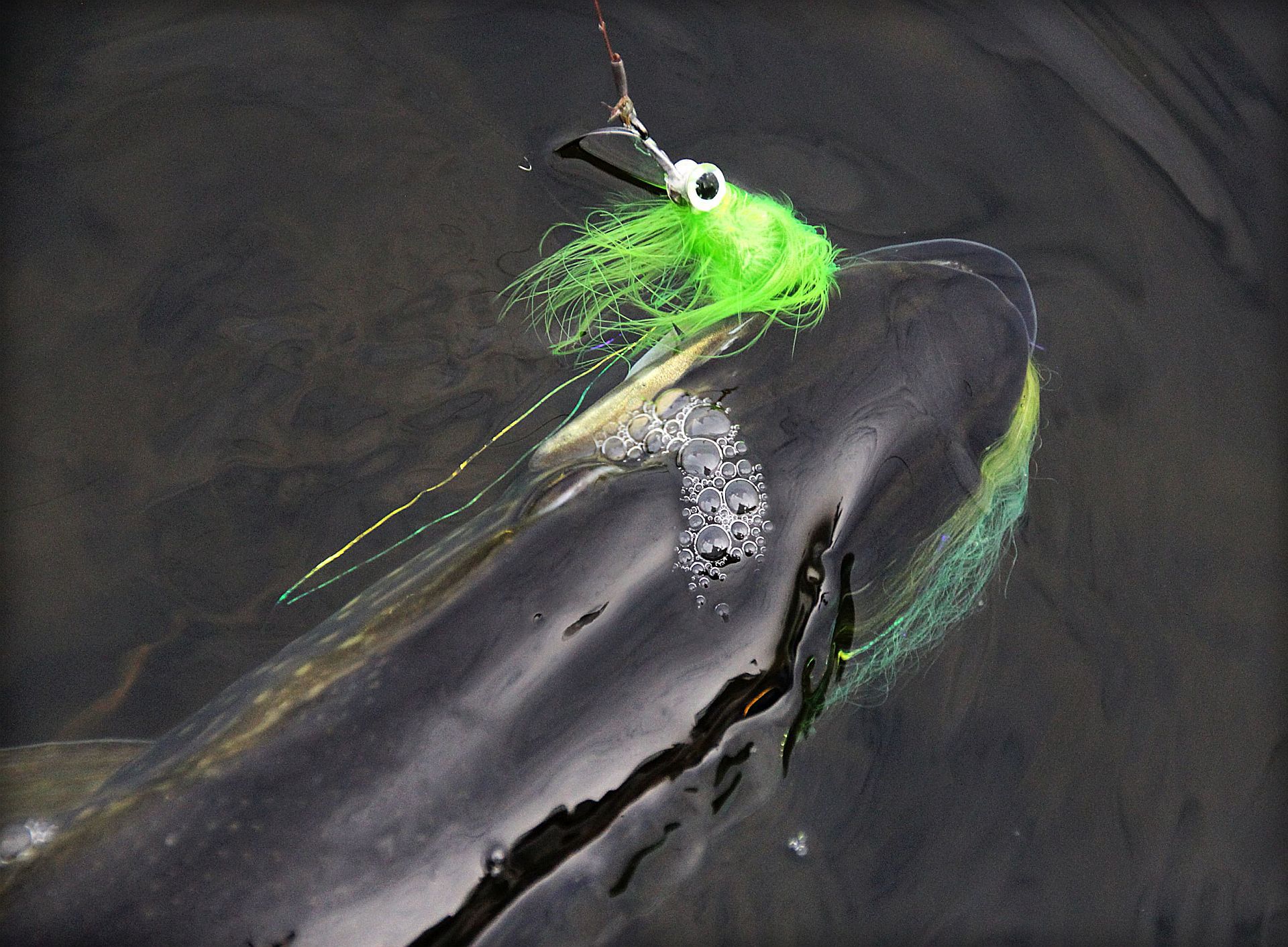 Helme für Streamer Fliegenfischen mit der Spinnrute Fliegen Hecht Zander Forelle 