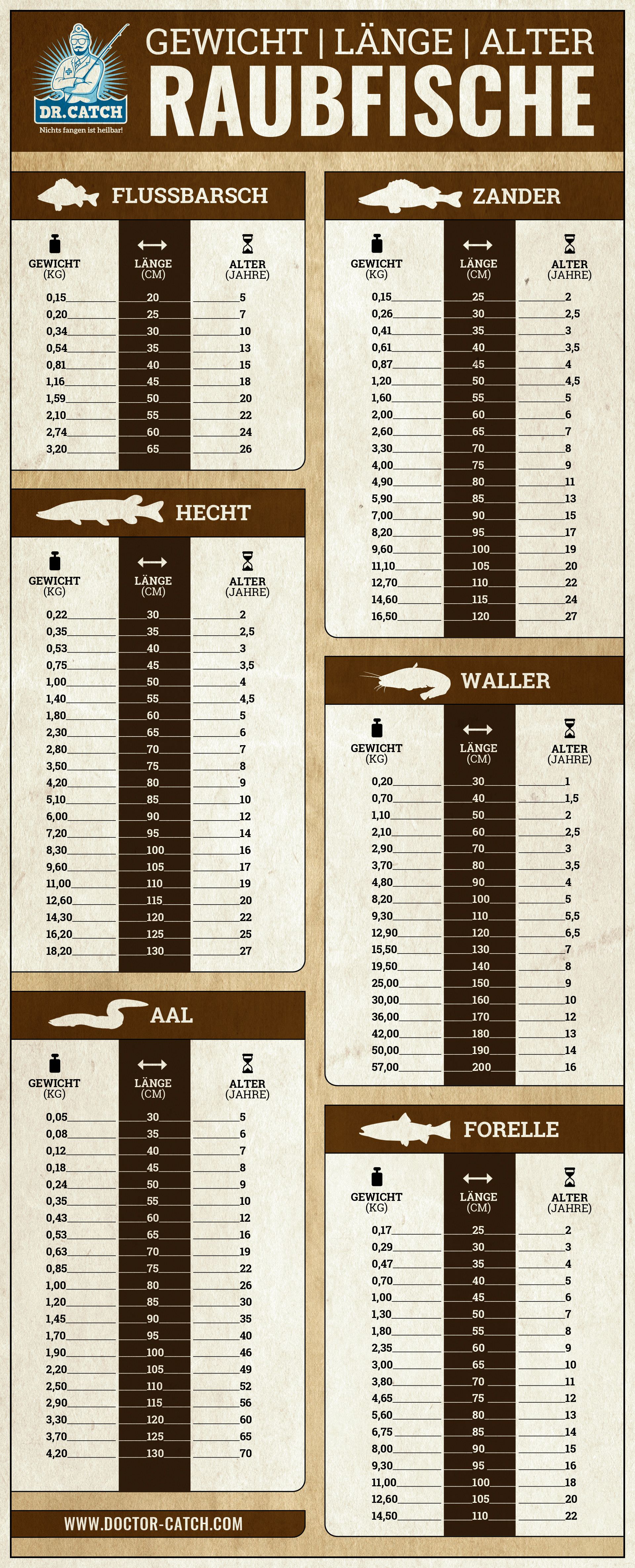 Längen- und Gewichtstabelle Raubfische