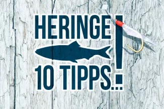 10 tipps zum heringe angeln