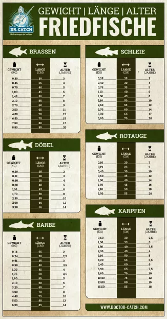 Längen-Gewichts-Alters-Tabelle