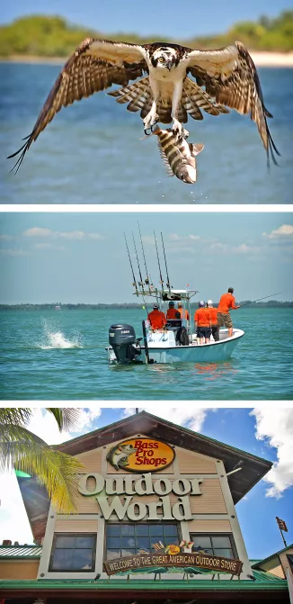 Tarpon angeln in Florida