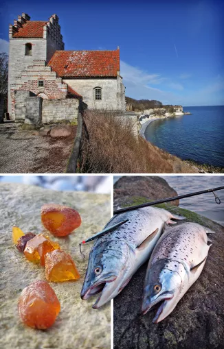 Meerforellenangeln Stevns Klint Dänemark