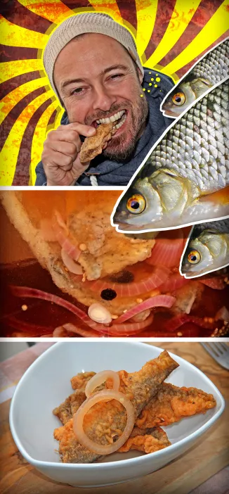 Rotaugen und andere Weißfische sauer einlegen