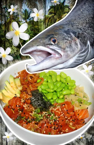 Das Rezept für einen Poke Bowl Rohfischsalat mit Lachs