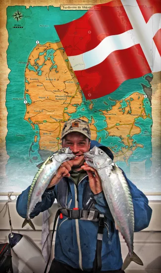 Makrelenangeln in Dänemark