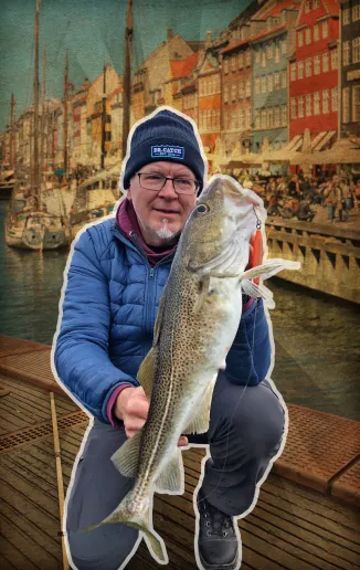 Dorsch angeln in Kopenhagen